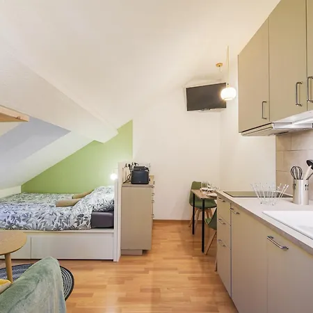 Le Amande - Au Centre-ville De Appartement Grenoble